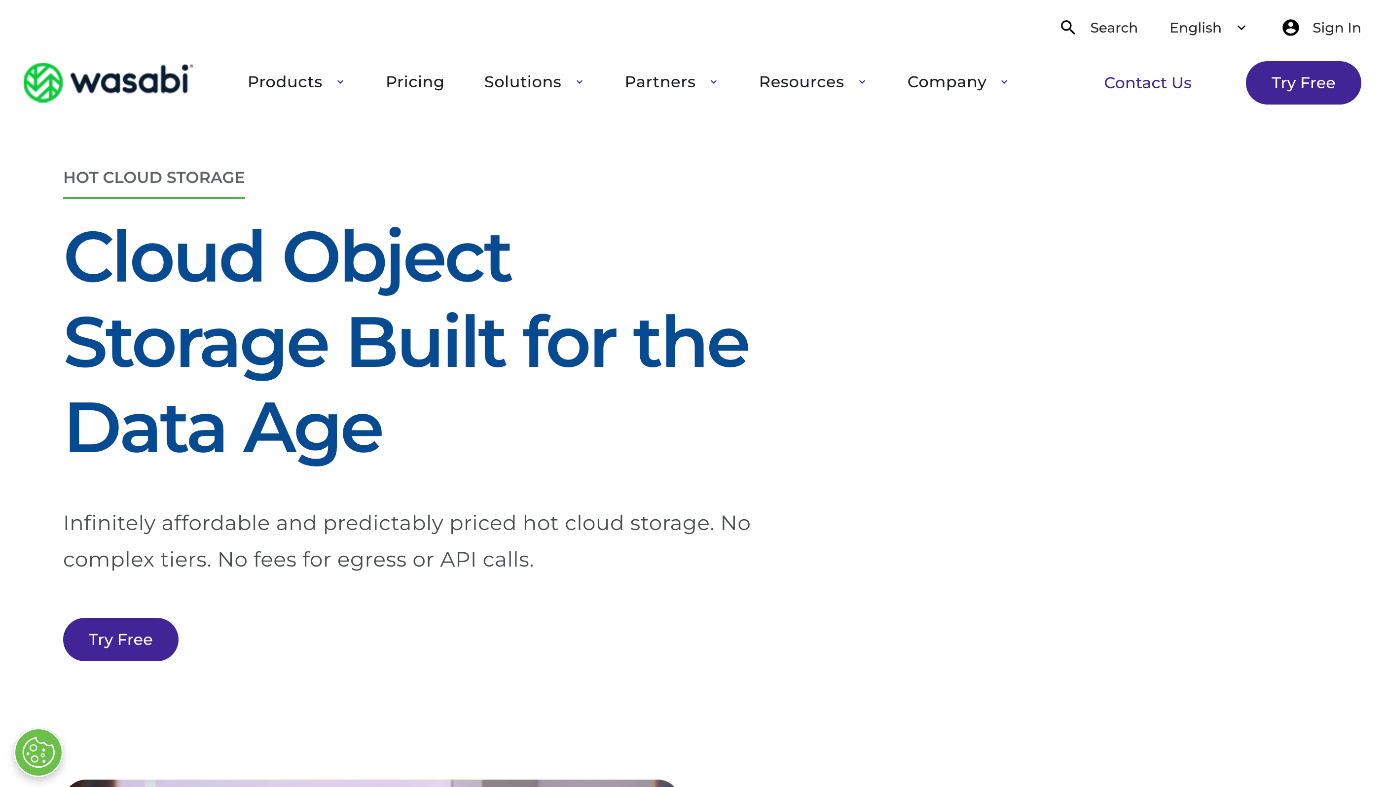 Wasabi Hot Cloud StorageのWebサイト